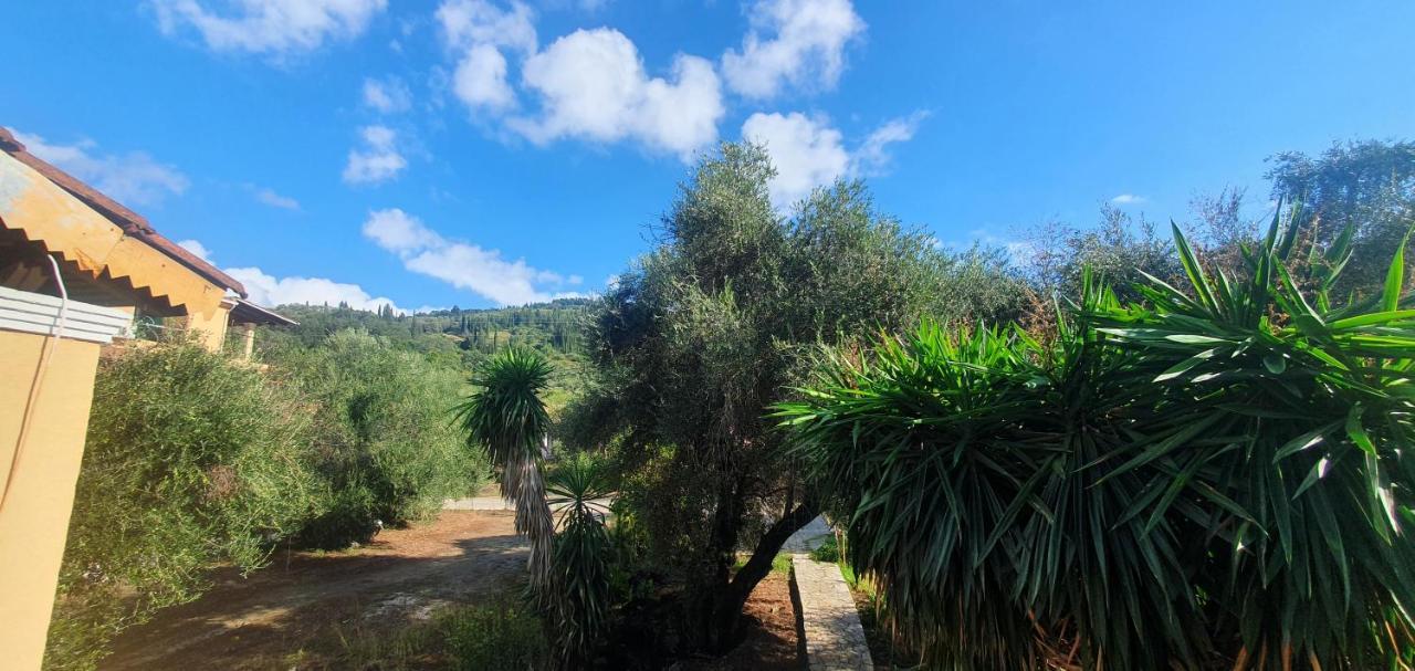 Katerina Apartament Agios Georgios Pagon